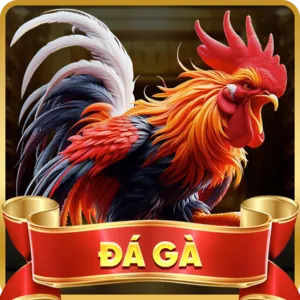 Cá Cược Thể Thao 888slot